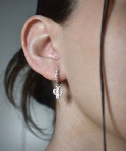 Alternative view of Pendientes Cactus