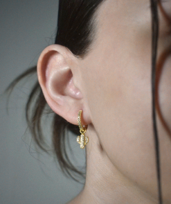 Alternative view of Pendientes Cactus