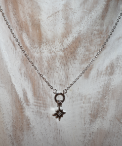 Alternative view of Collar Polaris